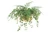 Mini Ivy and Fern in Brass Planter