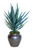 Yucca Plant in Bronze Stoneware Planter