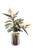 Bird of Paradise with Tropical Foliage in Smoke Vase
