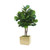 4.5' Fiddle Leaf Tree in Square Stoneware Planter