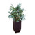 Fishtail Palm in Metal Planter