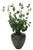 Mixed Greenery and Berries in Aged Black Vase