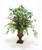 Green Brown Hypericum and Assorted Foliages in Small Cherry Urn