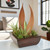 Palm Paddles with Succulents in Square Planter