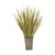 Natural Grass with Reeds in Metal Wall Pocket