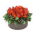 Red Repens Mixed with Phalaris and Foliage in Low Round Black Wash Planter