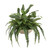Mixed Greenery with Fern and Bird of Paradise in Bowl