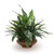 Greenery in Brown Fluted Bowl