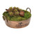 Succulent Garden in Metal Round Planter