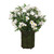 White Daisies in Wire Coil Basket