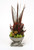 Feathers, Pods, Plumosum, Phylica and Feathers in Black Nickel Horn Bowl Or Horn Base