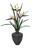 Birds of Paradise in Vase