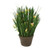 Natural Blades and Grass with Yellow Wild Flowers in Stoneware Pot