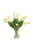 White Tulips in Tall Glass Cylinder