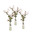 Green Brown Hypericum Berries In Anise Bottle (Set Of 3)