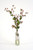 Green Brown Hypericum Berries In Anise Bottle (Set Of 3)