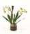 Amethyst Green Vanda Orchid with Plant in Glass Cylinder