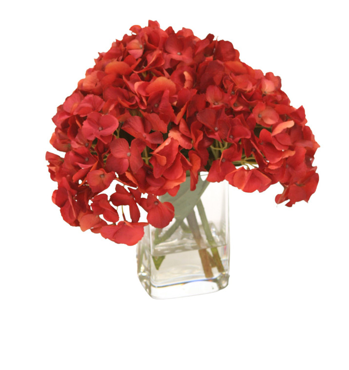 Dark Red Hydrangea in Square Glass Vase