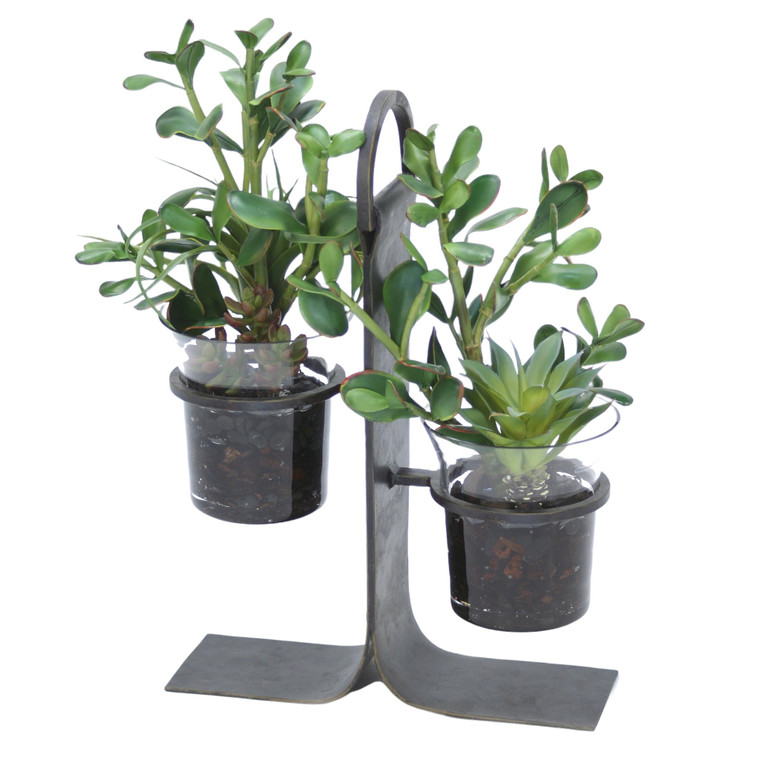 Succulent Garden in Glass with Iron Holder