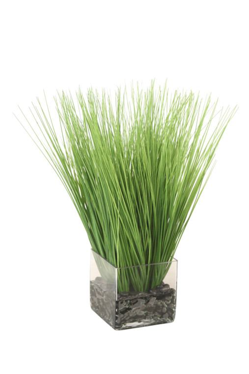 Grass in Glass Vase