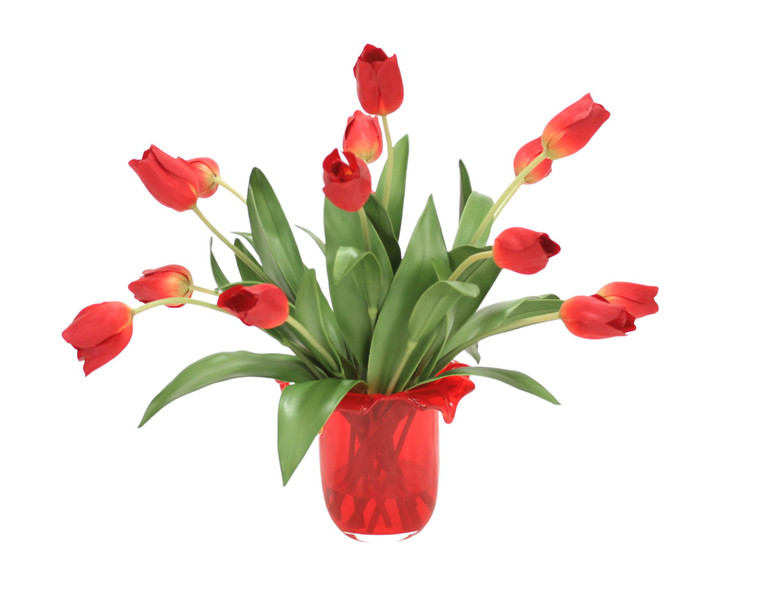 Waterlook  Red Tulips in Red Glass Vase