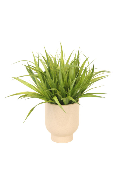 Vanilla Grass in Beige Planter