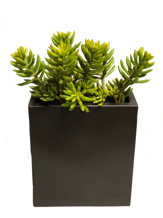 Succulents in Tall Metal Pillow Vase (Set of 2)