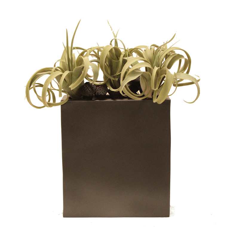 Tillansia in Metal Cubist Planter (set of 2)
