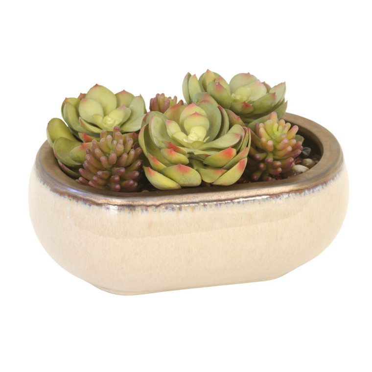 Mixed Succulents in Taupe and Bronze Planter