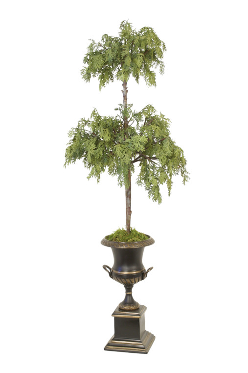 Cedar Topiary in Bronze Urn with Handles