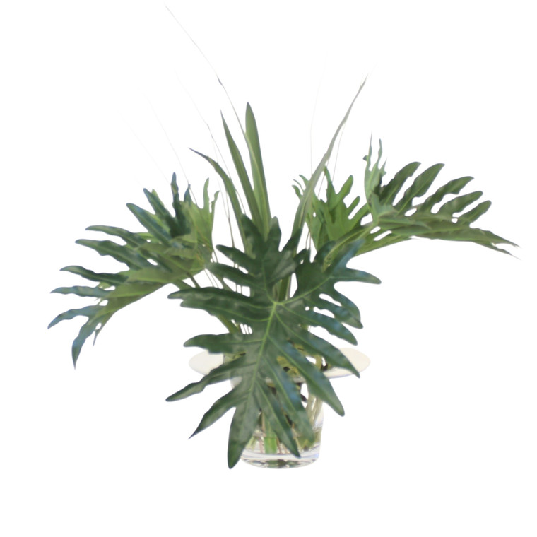 Split Philo Leaves in Glass Vase