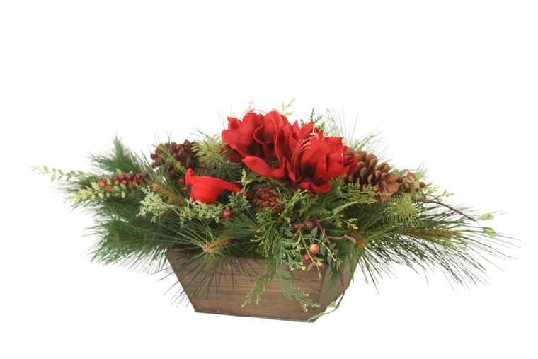 Mixed Pine With Berries And Amaryllis In Box Planter