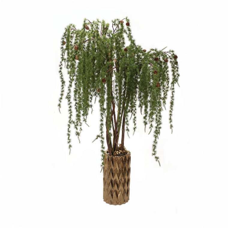 Weeping Pine Tree in Gold Container with No Lights