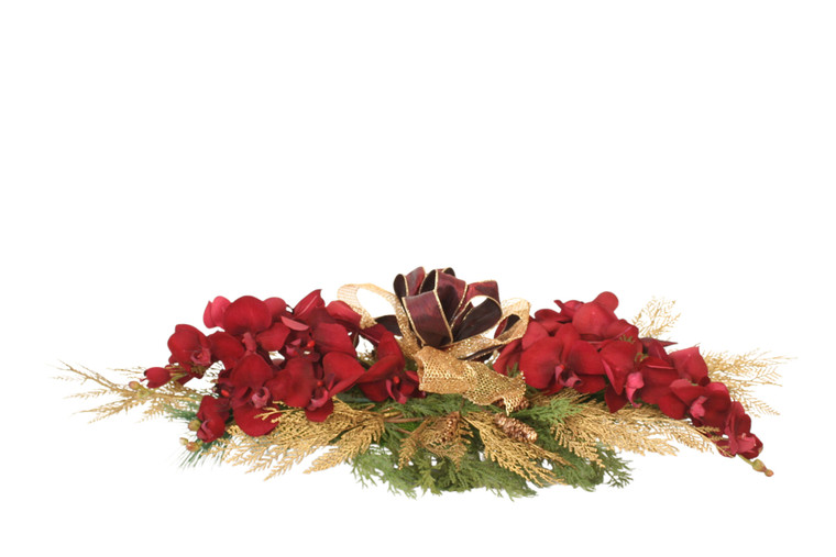 Red Velvet Phalaenopsis in Holiday Arrangement
