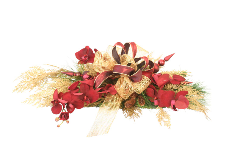 Red Velvet Phalaenopsis in Holiday Arrangement