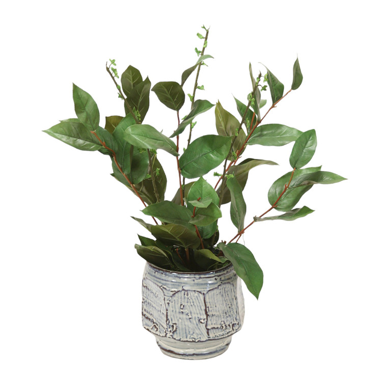 Basil and Salix in White and Blue Container