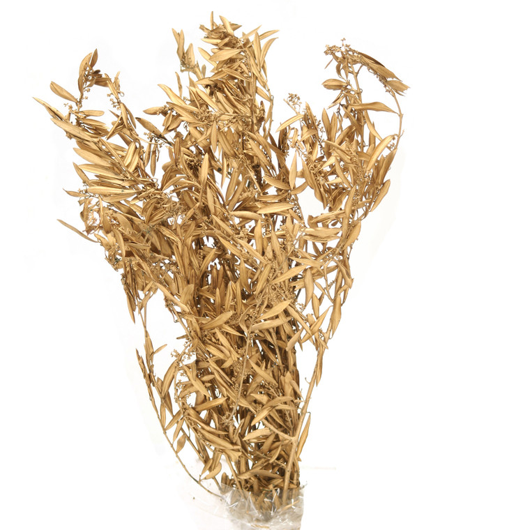 Preserved Gold Leaf Branches - (Packed 4pcs)