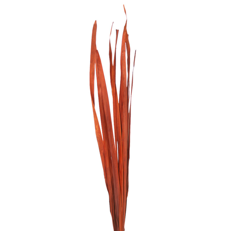 PALM  LONG BURNT OAK PALM (10 pieces in bundle)