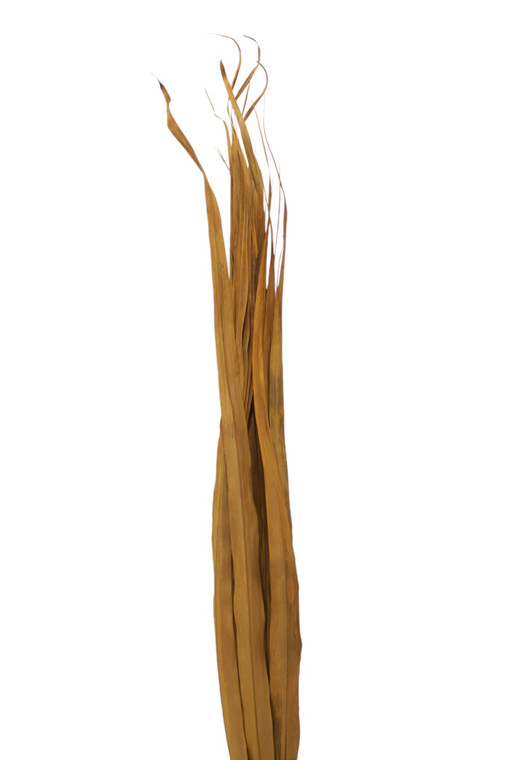 OCEANA PALM BROWN (25 PC TO PACK)
