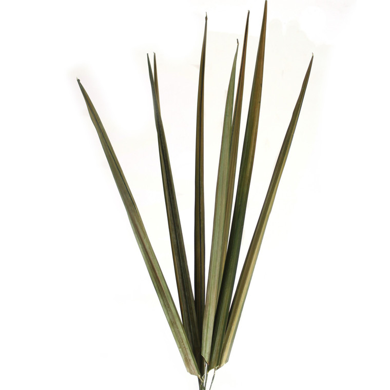 Natural Blade Bundles Basil Color with Wire (Set Contains 8 Piecess)