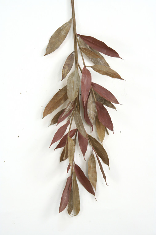 SMALL MYRTLE BRANCH NATURAL/BROWN (Set of 6)