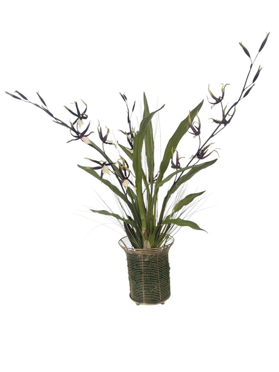 Oncidium Orchid Foliage with Spider Orchids in Wire Vase