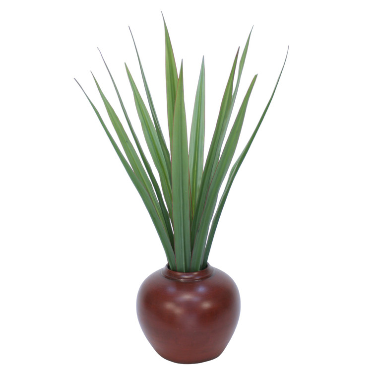Flax Plant in Stoneware Planter