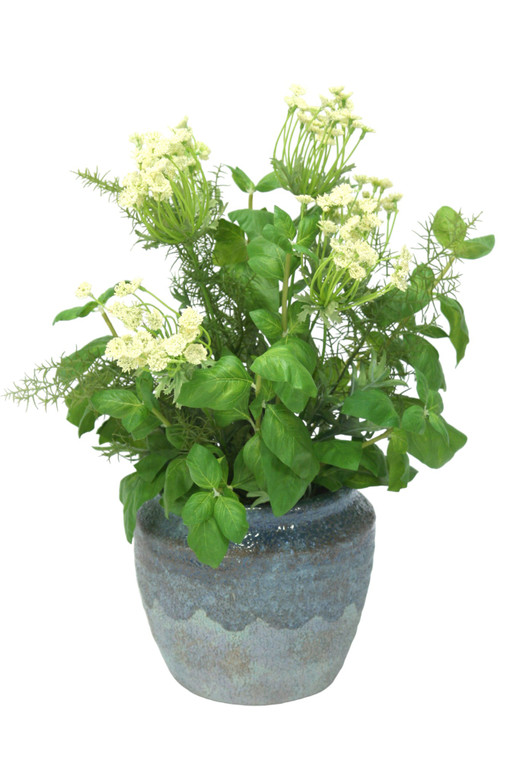 Basil and Safari Pine with Queen Anne Lace in Blue Earthy Pot