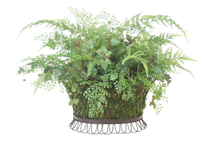 Fern & Ivy in Wire Basket