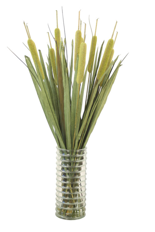 Cattails in Ribbed Cylinder