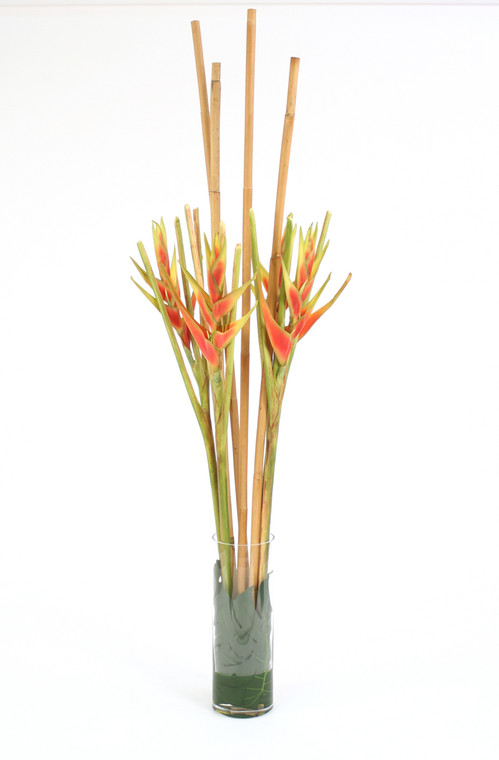 DARK ROSE HELICONIA WITH PHILOLEAVES AND RATTAN IN CYLINDER