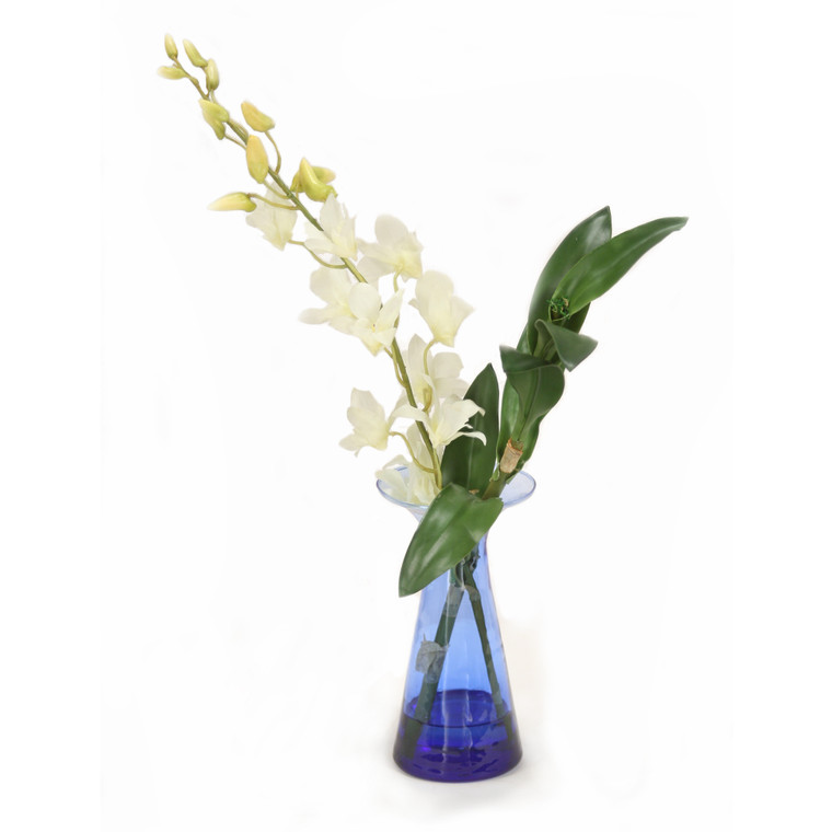 White Orchids in Blue Vase