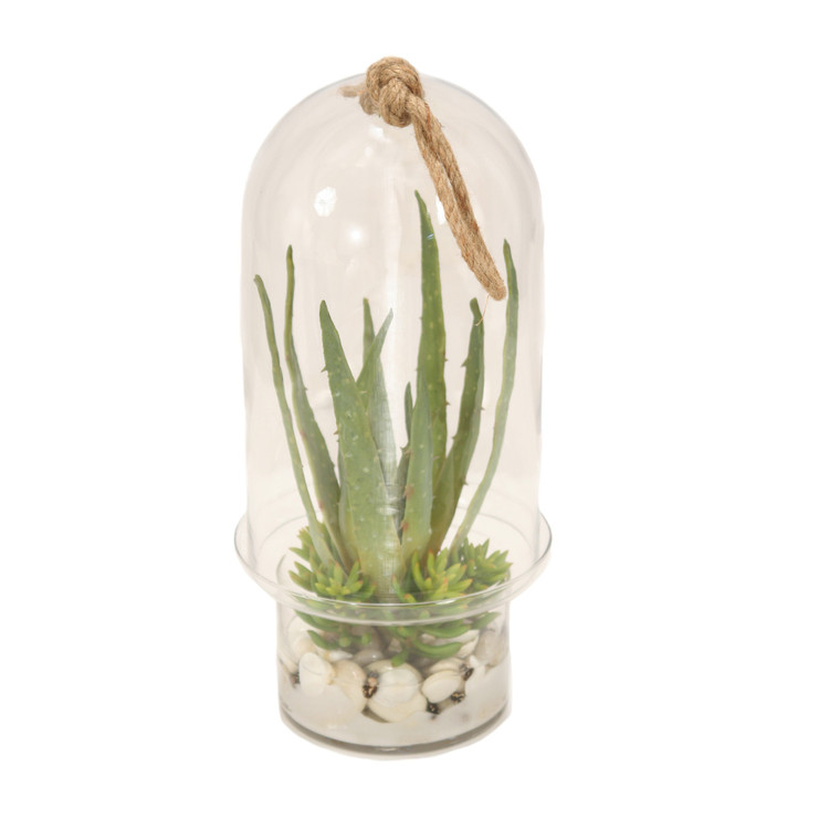 Succulent Garden in Glass Dome