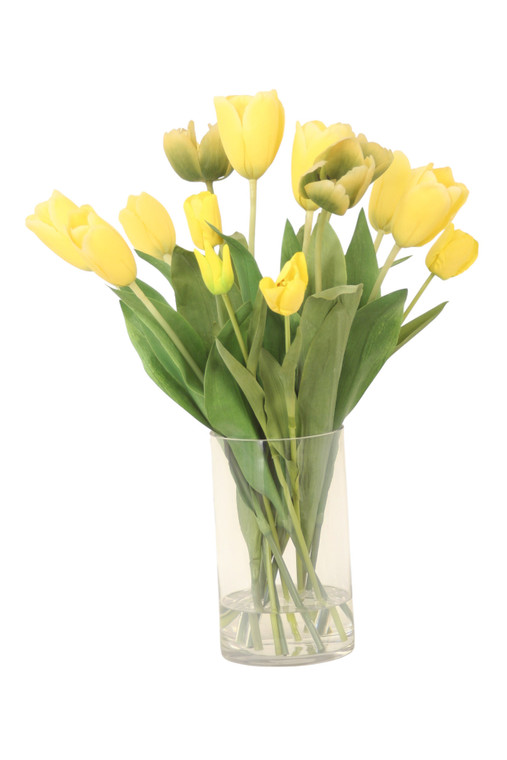 Yellow and Yellow Green Tulips in Glass Cylinder